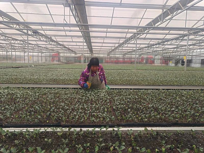 /ueditor/image/20240305/1709606792736049/3b8305a0019bdcd95d6989b7d9d77608.jpg 640.jpg