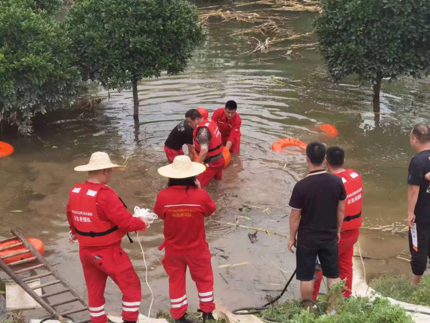 /ueditor/image/20240727/1722054871834549/67d19ef787c296b81ac06a6fa23ef740.jpg 图2.jpg