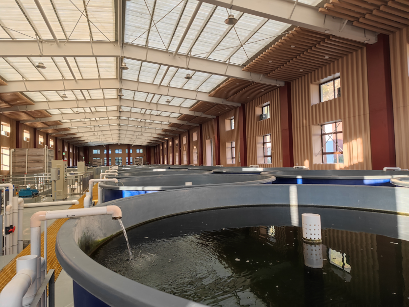 /ueditor/image/20250227/1740648842246324/6d1d4d7321936ecd8c0a6b33c440456b.png image.png